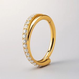 Helix Piercing Schmuck Titan